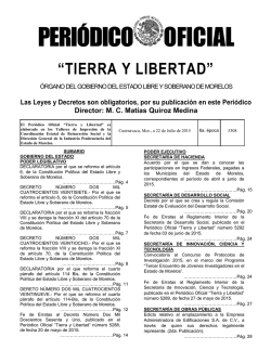 Click para ver Publicaci&oacute;n - Peri&oacute;dico Oficial