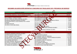 resumen adjudicacion secundaria definitivo 2015 - Stecyl-i