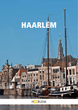 HAARLEM - Studio Naskin