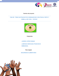 Idea ganadora - Agenda Ciudadana
