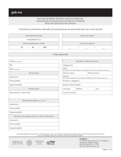 Formato