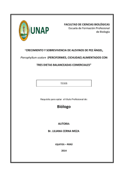 Tesis Liliana Cerna Meza - Universidad Nacional de la