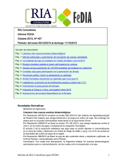 descargar / ver informe 407 completo en pdf