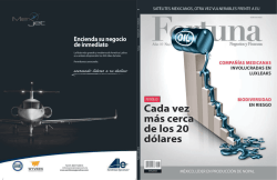 al &ldquo;mexican nightmare&rdquo; - Earthgonomic M&eacute;xico, AC