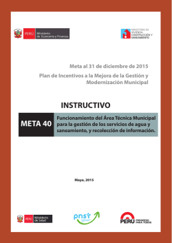 20.5.15 Instructivo Meta 40 - Programa Nacional de Saneamiento