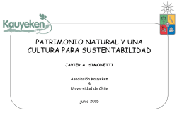 Javier Simonetti – Clase Magistral Taller de ustentabilidad
