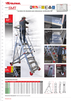 Descargar ficha técnica - Escaleras y andamios Faraone
