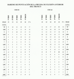 baremo de puntuación de la prueba de flexion anterior del tronco