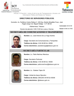 secretaría de comunicaciones y transportes secretaría particular