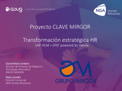 Presentación Proyecto Clave Mirgor
