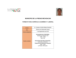 III Curricula Gustavo Andres Mares Alvarado DS
