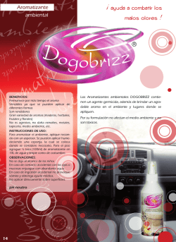 carpeta Dogobrizz