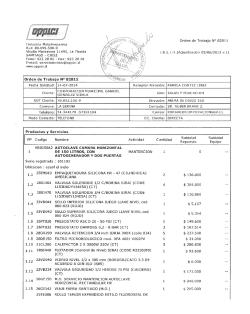 Orden de Trabajo N° 82811 Industria Metalmecanica Rut: 80.695