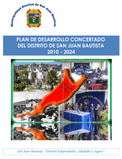 plan de desarrollo concertado del distrito de san juan bautista 2010