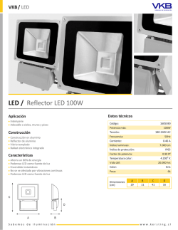 LED / Reflector LED 100W