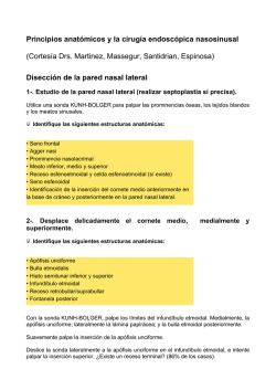 Anexo 1: Manual de anatomía