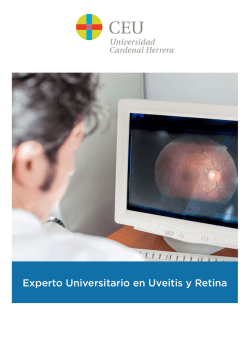 Experto Universitario en Uveitis y Retina
