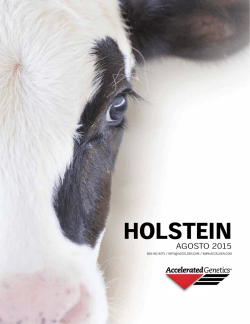 HOLSTEIN HOLSTEIN - Accelerated Genetics