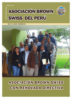 BROWN SWISS 05 PARA WEB