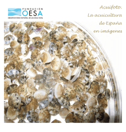 Descargar Catálogo de la exposición ACUIFOTO