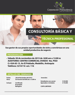 Seminario Consultoria - Corporación Proexcelencia