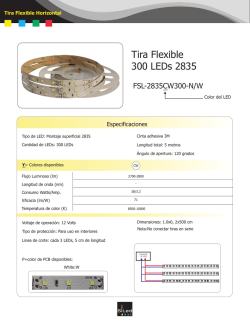 Tira Flexible 300 LEDs 2835