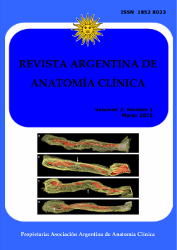 Español - Inglés - Revista Argentina de Anatomía Clínica