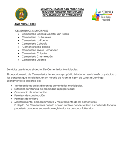 municipalidad de san pedro sula servicios publicos municipales