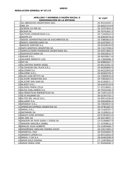 apellido y nombres o razón social o denominación de la entidad n