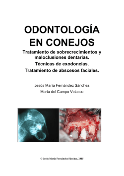 ODONTOLOGÍA EN CONEJOS - clinica veterinaria rio duero