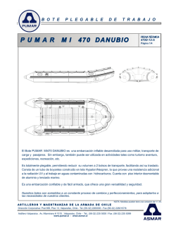 P U M A R M I 470 DANUBIO