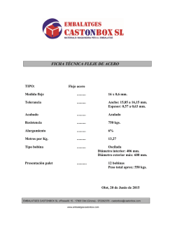 ficha técnica fleje de acero tipo