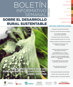 INFORMATIVO SEMANAL