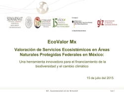EcoValor Mx Valoración de Servicios Ecosistémicos en Áreas