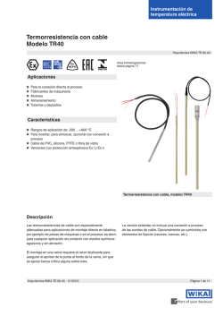 Termorresistencia con cable Modelo TR40