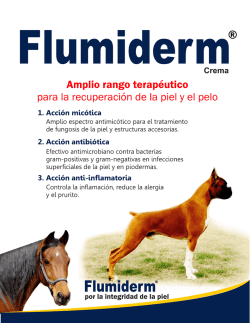Flumiderm - Cells Farmaceutica