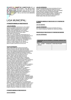 Liga Municipal de Fútbol 7