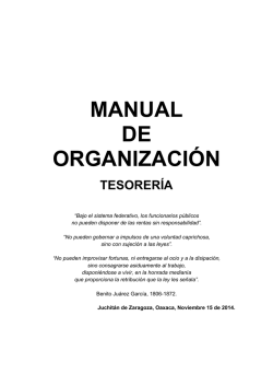 manual de organizacion juchitan