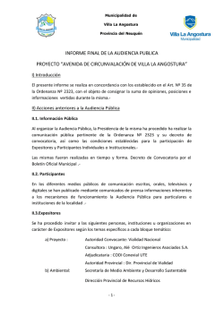 informe audiencia pública 040615 - Diario Andino Digital de Villa La