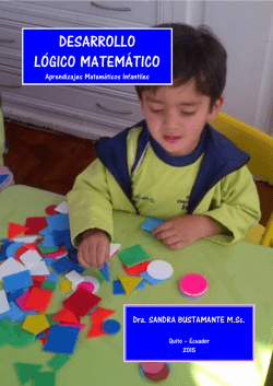 Desarrollo Lógico Matemático - Aprendizajes Matemáticos Infantiles