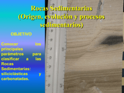 Clase 5 Rocas sedimentarias