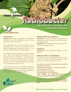 ficha Radiobacter PERU WEB