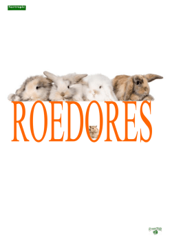 3 ROEDORES - Surtropic