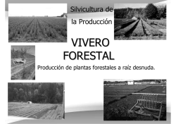 Produccion_de_plantas_a_RD_2015 ByN - Aula Virtual