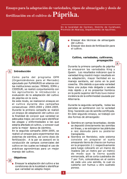 Ensayo para la adaptación de variedades, tipos de almacigado y