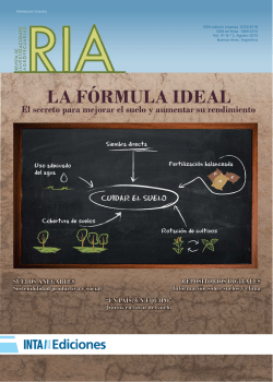 LA FÓRMULA IDEAL - Revista RIA