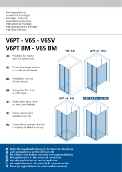 V6PT - V6S - V6SV V6PT BM