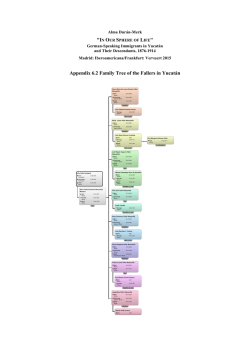 Appendix 6.2 Family Tree of the Fallers in Yucatán
