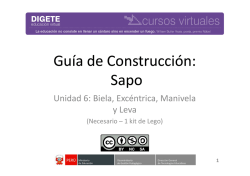 Guía de Construcción: Sapo