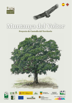 Muntanya del Voltor - Fundación Vida Silvestre